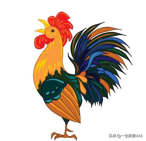 鸡的英文（鸡的英文有几种）