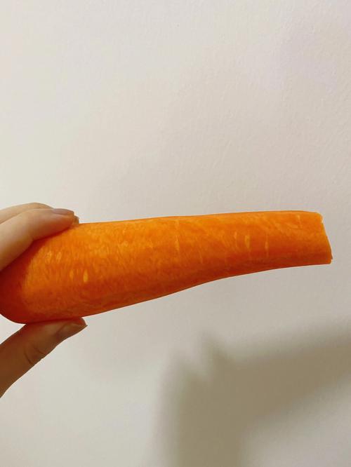 胡萝卜怎么吃最有营养（每天一个胡萝卜对身体好吗）