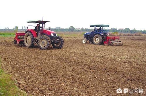 农村干什么挣钱最有前景（没本事人干什么挣钱）