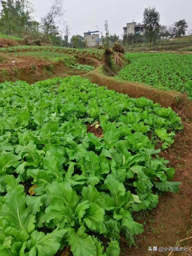 如何在家里可以挣到钱（教你如何在家里挣钱）