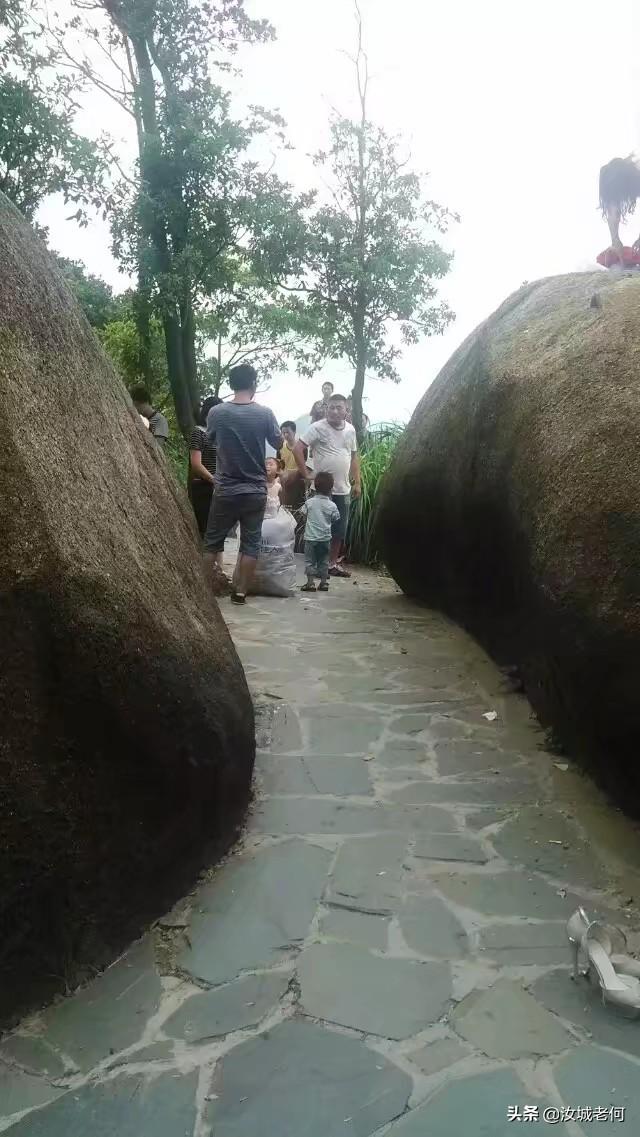 深圳摄影（深圳摄影家协会）