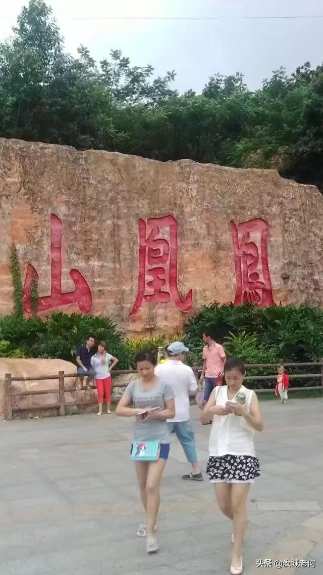 深圳摄影（深圳摄影家协会）