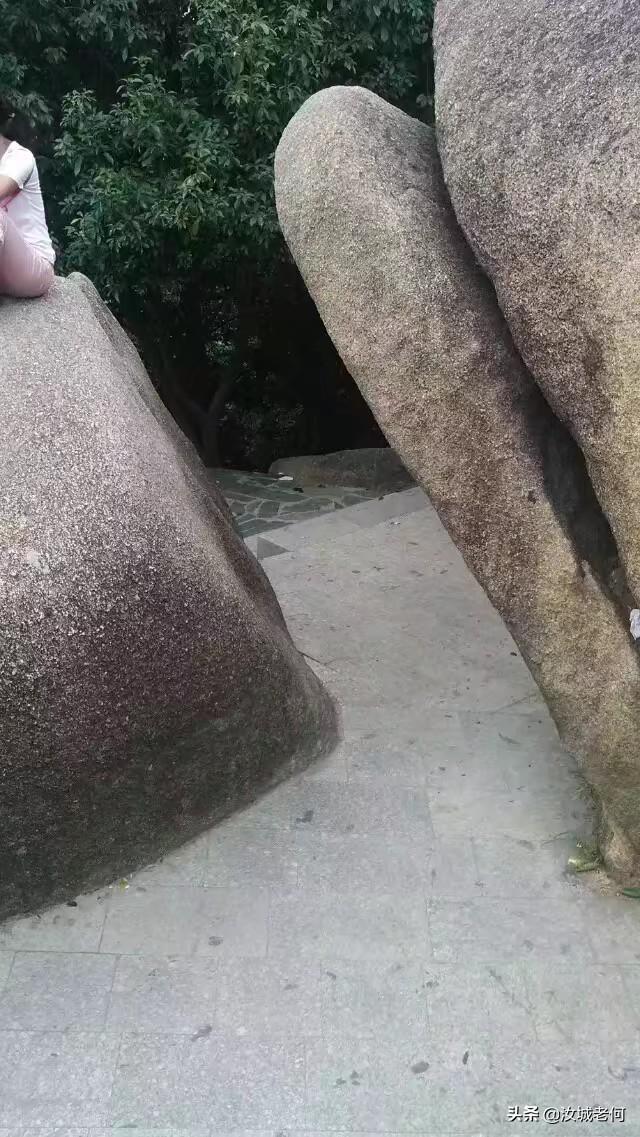 深圳摄影（深圳摄影家协会）