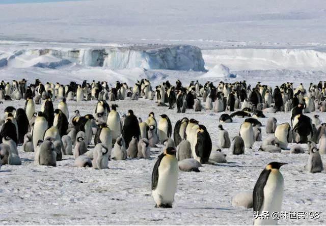 大自然奇观有哪些（大自然奇观有哪些图片）