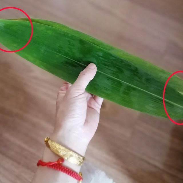 大粽子的包法(大粽子的包法视频教程)