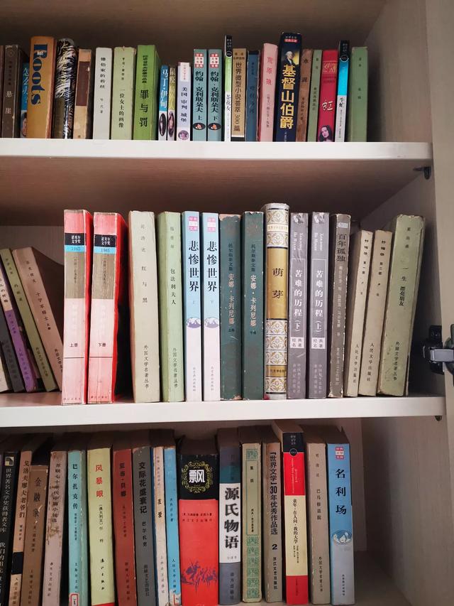 值得一看的小说推荐（值得一看的小说推荐且有女主）