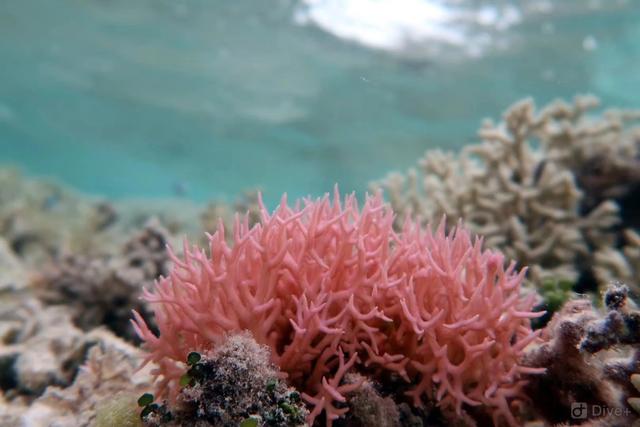 中国旅游城市50强(中国旅游城市排名50强)