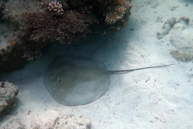 中国旅游城市50强(中国旅游城市排名50强)