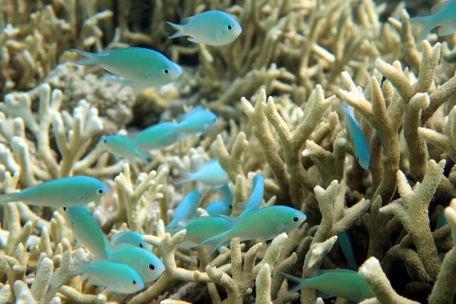 中国旅游城市50强(中国旅游城市排名50强)