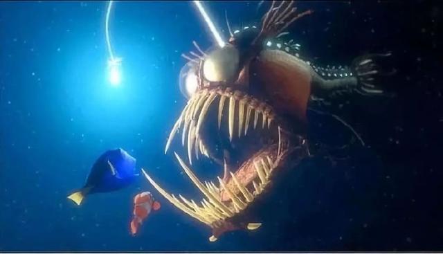 深海生物图片（深海生物图片高清）