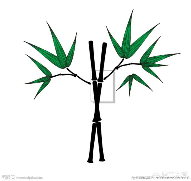 健康养生加盟（健康养生加盟店排名）