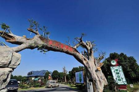 江苏南京旅游景点攻略(江苏省南京旅游景点)