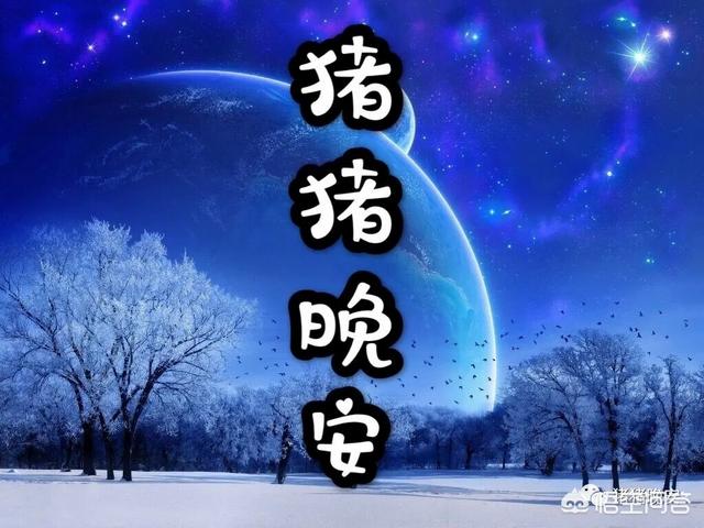 讲给女朋友的睡前故事（讲给女朋友的睡前故事爱情故事）