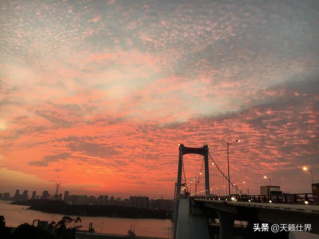 厦门必去旅游景点推荐（厦门必去旅游景区）