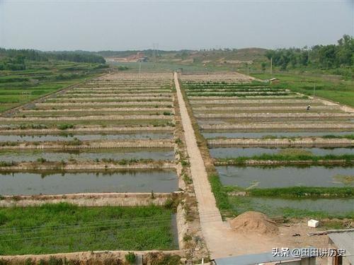 一亩地有多大概念图（一亩地大概是多大）