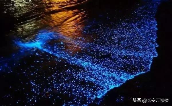 全球十大自然奇观（全球十大自然奇观图片）