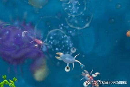 手机游戏单机游戏（手机游戏单机游戏网站）